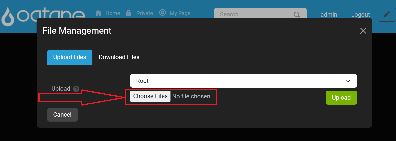 Choose File Button