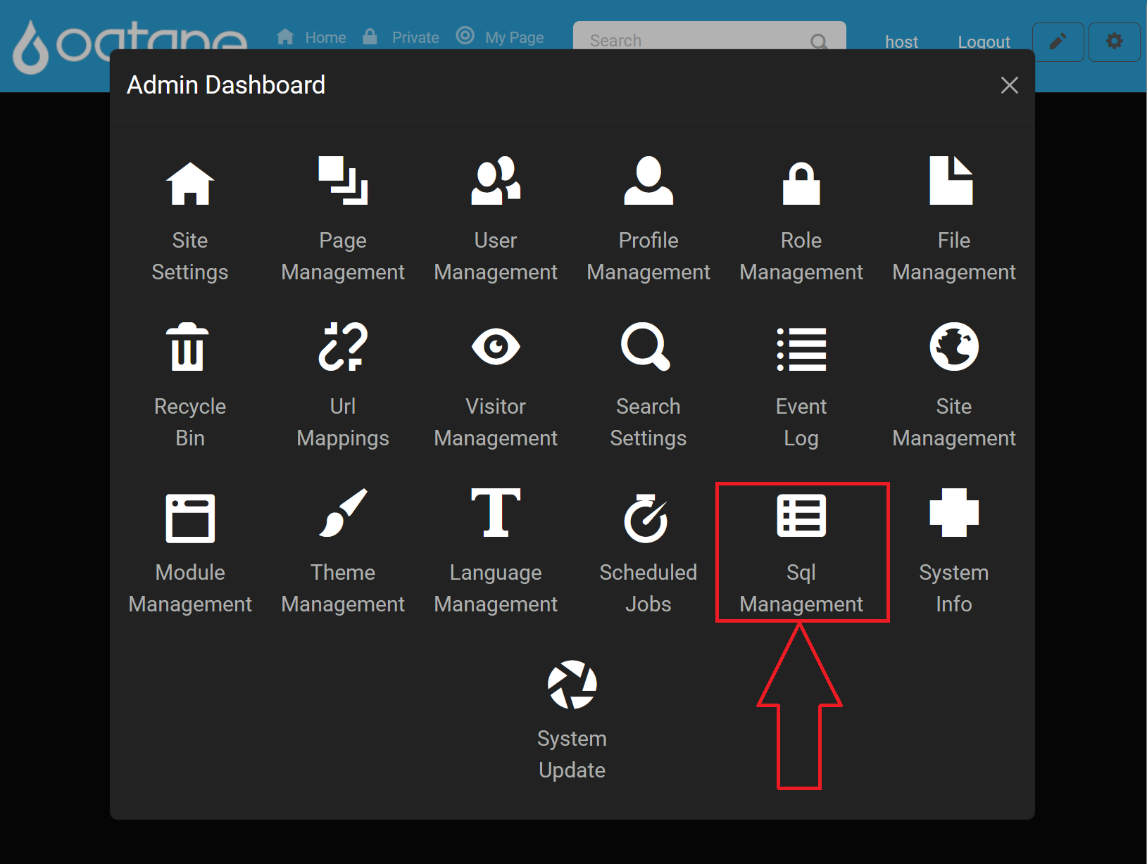 Admin Dashboard SQL Management