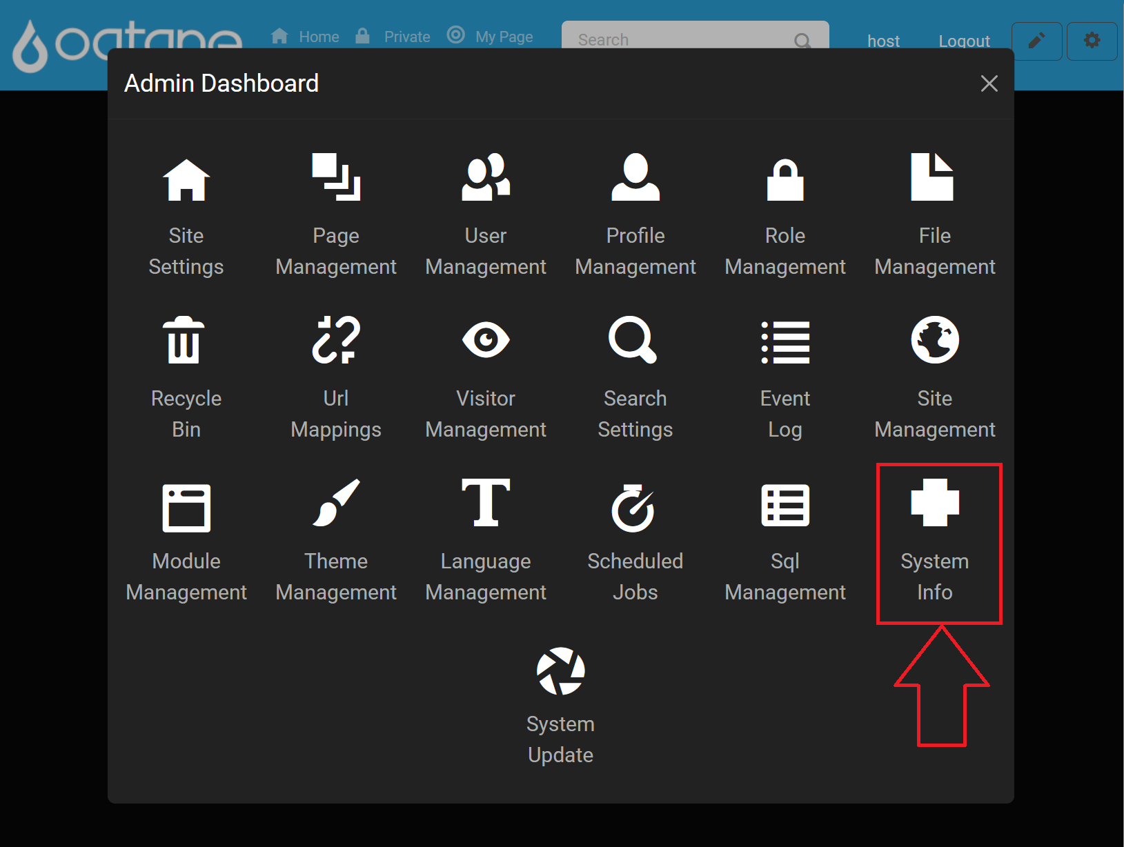 System Info Icon