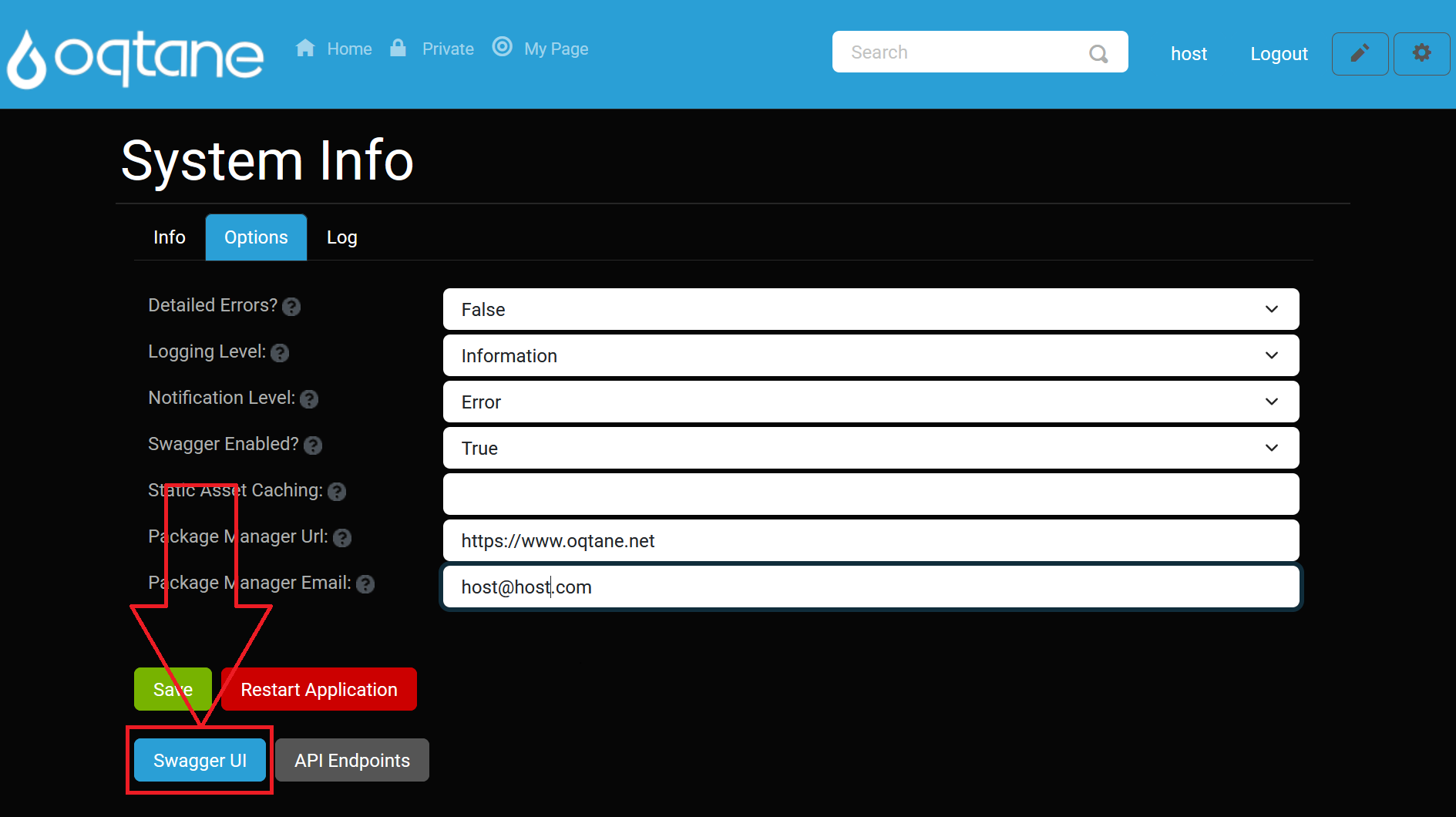 Swagger UI Button